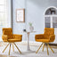LLappuil Dining Chair Set of 2, 2 Piece Upholstered Accent Chairs for Dining Room, Living Room Yellow