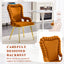 LLappuil Dining Chair Set of 2, 2 Piece Upholstered Accent Chairs for Dining Room, Living Room Yellow
