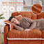 LLappuil 70" Loveseat Sofa, Chenille Cloud Sofa Couch for Living Room