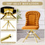 LLappuil Dining Chair Set of 2, 2 Piece Upholstered Accent Chairs for Dining Room, Living Room Orange