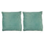 LLappuil 16 * 16 Inch Throw Pillow (Set of 2), Aqua Blue