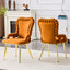 LLappuil Dining Chair Set of 2, 2 Piece Upholstered Accent Chairs for Dining Room, Living Room Yellow