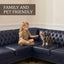 LLappuil Sectional Sofa, 103" x 103" Chesterfield Sofa with Nailhead, 7 Seat Faux Leather Tufted Couch for Living Room Blue